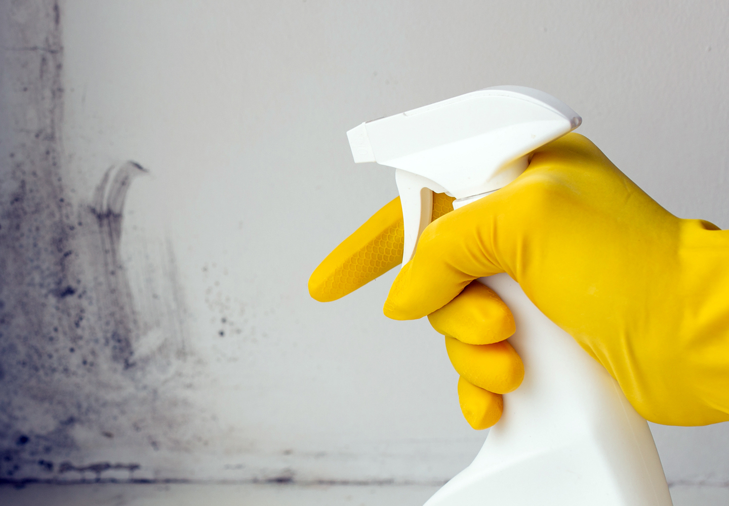 Section header graphic