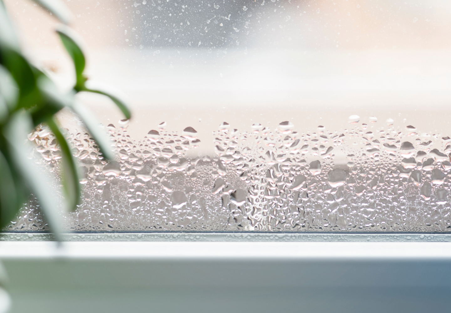 Section header graphic