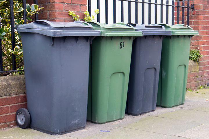 Section header graphic