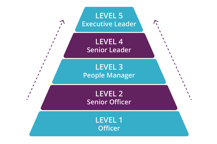 Graphic of pyramid illustrating the five levels of competencies