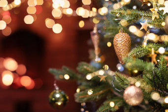Close up photo of a Christmas tree